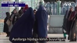 Tolibon Balxda shariat qonunlarini o'rnatmoqda