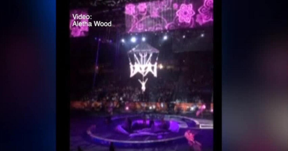 Gancho roto provocó accidente en circo