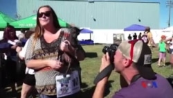 ကာလီဖိုးနီးယားက ခွေးရုပ်ဆိုးပြိုင်ပွဲ၊ ကျင်ငယ်မှာ ရွှေပါနေတဲ့ အိန္ဒိယနွား စသည် ...