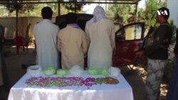 بازداشت یک قاچاقبر تریاک در ولایت سرپل