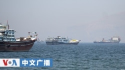 美国之音中文广播 (2026年5月1日)