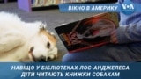 Вікно в Америку. Навіщо діти читають книжки собакам.