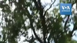 Somalie: un attentat fait au moins 81 morts à Mogadiscio