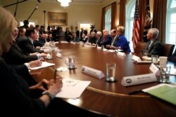 President Donald Trump and Vice President Mike Pence, accompanied by members of the coronavirus task force, meet with pharmaceutical executives in the Cabinet Room of the White House, March 2, 2020.