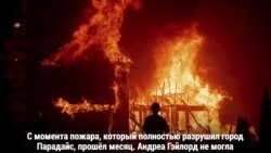 Собачья верность