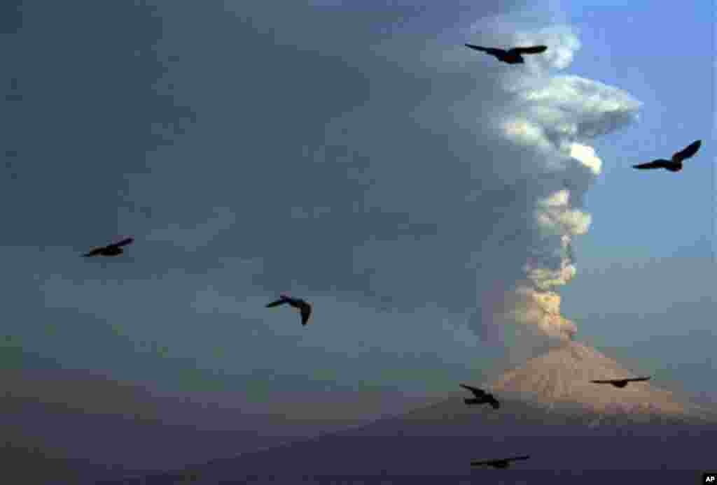 Birds fly in the foreground as a plume of ash and steam rise from Popocatepetl volcano as seen from San Andres Cholula, Mexico, Wednesday April 18, 2012. Mexico's Popocatepetl volcano is continuing to spout gases and hot rock fragments and it is dusting t