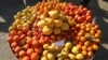 South Africa Citrus Growers Expect Boost in Exports