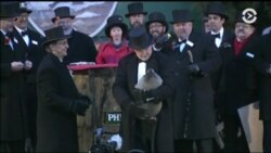 2 февраля в США по традиции отметили День сурка