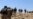 Reports: Lebanese Hezbollah Opening Unofficial Border Crossing With Syria