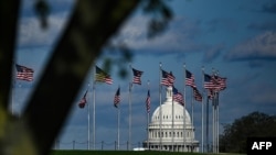 资料照：美国国会大厦圆顶和美国国旗（2020年04月10日）