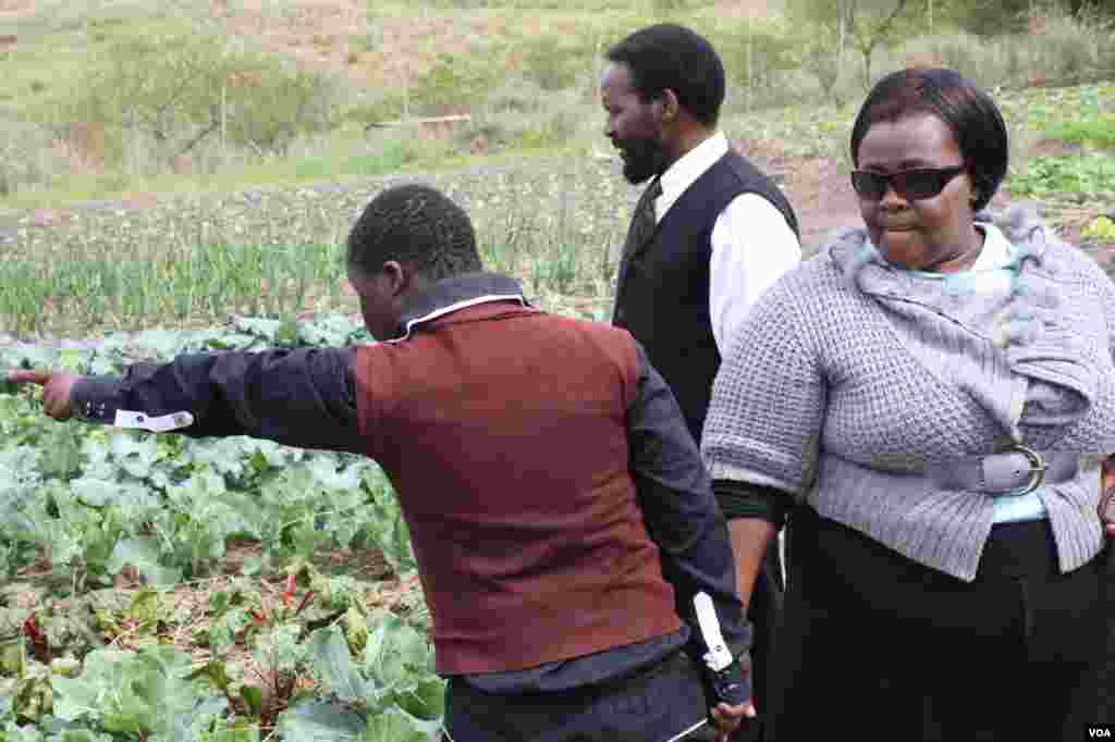 Sihle takes his parents, Jam-Jam [left] and Beauty, on a tour of the farm on which he works (VOA/ D. Taylor) 