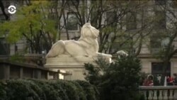 В Нью-Йорке отреставрировали знаменитых львов на парадном крыльце Нью-Йоркской публичной библиотеки