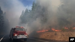 A fire truck drives past burning trees as firefighters battle the Rim Fire near Yosemite National Park, Calif., Aug. 26, 2013. 
