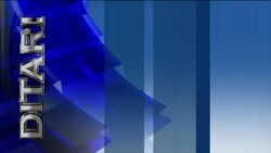 Ditari - Trump dhe Haley përballen në zgjedhjet paraprake republikane në Nju Hempshër 