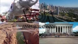 Amerika Manzaralari: Vaksinatsiya, qadim bozor va Mars