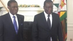 Udaba Esilethulelwe NguGibson Bhebhe