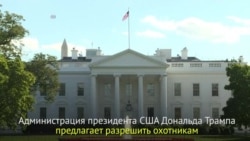 В США планируют отменить запрет на ввоз слоновой кости