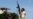 Libyan Opposition Claims Gains in Westward Push