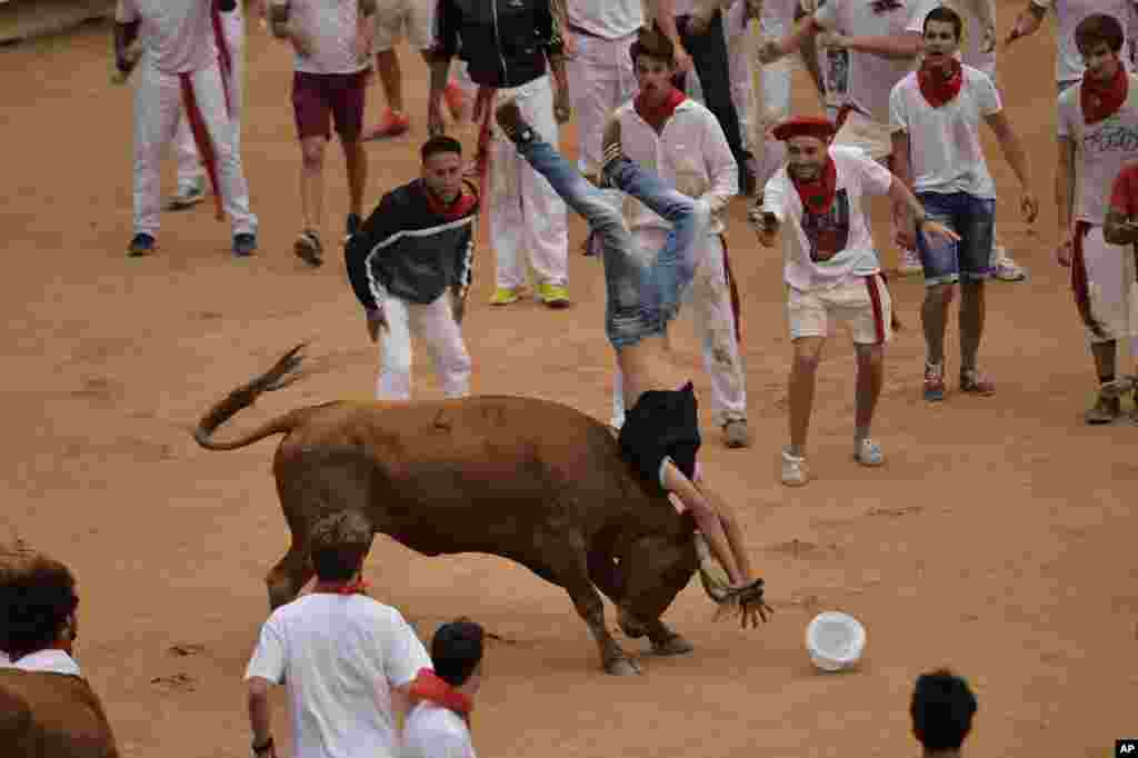 A reveler in upended by a calf at the San Fermin Festival, in Pamplona, northern Spain.