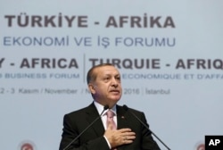 FILE —Turkey's President Recep Tayyip Erdogan addresses Turkey-Africa Business Forum in Istanbul, November 2, 2016.