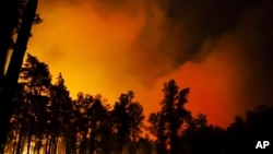 A piece of forest near Elmpt burns in the night to Tuesday, April 21, 2020. According to the district of Viersen, about 500 firefighters from Germany and the Netherlands are involved in fighting the large fire in the German-Dutch border area.