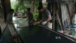 Turning Solar Power Into Gas in Thailand