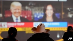 Guests watch returns during an election watch party at La Union Del Pueblo Entero, LUPE, in San Juan, Texas, Nov. 5, 2024.