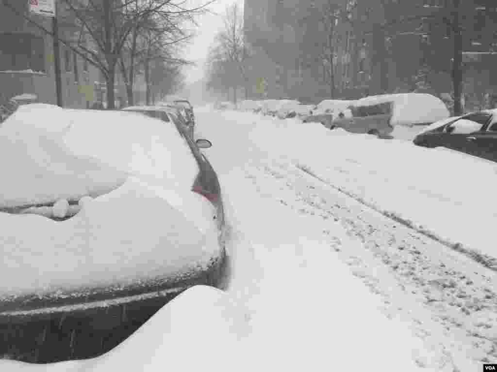 暴雪后的纽约 (美国之音平章拍摄)