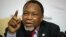 Sachigaro weKomisheni, Va Kgalema Motlanthe 