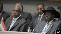 Southern Sudan leader Salva Kiir [R-front] and Sudan's 2nd Vice President Ali Osman Taha [L-front] attend the 14th Extra Ordinary Summit of the Inter-Governmental Authority Heads of State and Government at the Kenyatta International Conference Centre in N