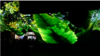 16x9 Image