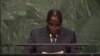 Zimbabwe President Calls For Reform of Bretton Woods Institutions To End Poverty