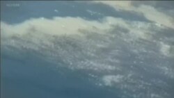 اخبار شامگاهی