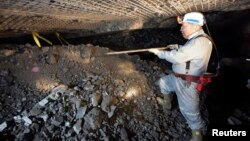 Mushandi wemumugodhi