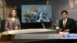 بي بي شیرینه – وي او اې ډيوه په ټیلې ویژن