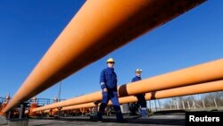 Engineers oversee the gas distribution system in Kiskundorozsma, 170 kilometers south of Budapest, through which Hungary's FGSZ Gas distribution company routes Russian gas toward Serbia, Jan. 15, 2015.