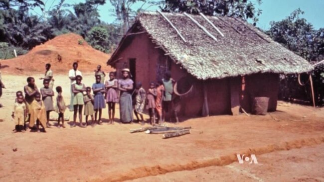 Scientist Who Helped Identify Ebola in 1976 Optimistic On Current Outbreak