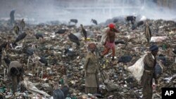 FILE—In this photo taken December 5, 2018, people scavenge recyclable materials from garbage for a living, surrounded by Marabou storks who feed on the garbage, at the dump in the Dandora slum of Nairobi, Kenya.