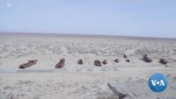 Using Trees to Stop a Lake from Turning into Desert