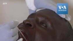 Coronavirus: tests de dépistage de masse pour les chauffeurs de camions