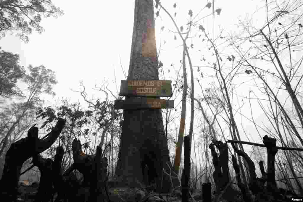 Vista de un cartel que dice &quot;Cuidemos el bosque&quot; en una zona forestal carbonizada después de un incendio forestal en Río Blanco, Bolivia. (REUTERS)