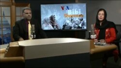 ډیوه ریډیو په ټې وي