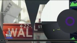 اخبار شامگاهی