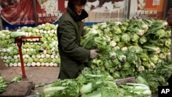 A man loads the white cabbages on a cart which on sale at a pavement in Beijing, China, Tuesday, Nov. 11, 2008. China's inflation rate fell further in October, easing pressure on Beijing to contain price rises as it launches a massive package to…