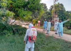 FILE - Farmers spray insecticide in a mango tree orchard in Muzaffargarh, Pakistan, May 29, 2020.