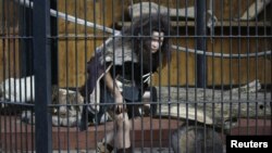 En Varsovia, hombres y mujeres se disfrazan de neardentales para enseñar sobre esa especie desaparecida.