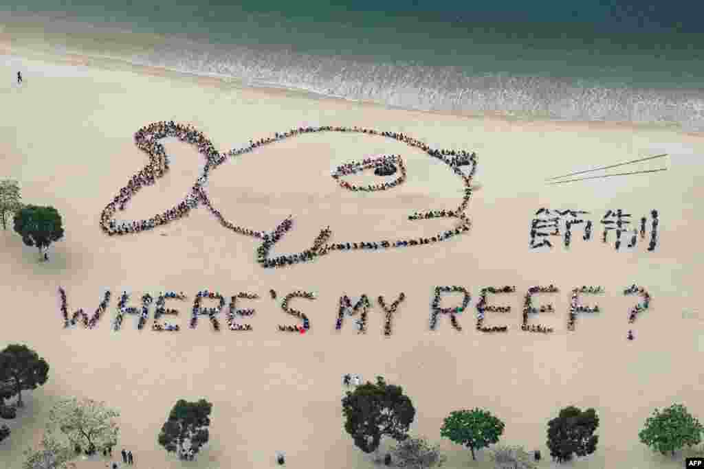 Children form a reef fish on a beach in Hong Kong on the 3rd annual Kids Ocean Day. The event is aimed at raising awareness of seas protection and the conservation of coral reef worldwide.