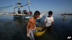 Ngư dân Philippines đang mang cá của họ tới bờ biển ở thị trấn ven biển phía tây bắc Philippines. (AP Photo/Aaron Favila)