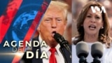 Harris y Trump empatan en recta final de la carrera hacia presidencia de EEUU, según sondeo. 