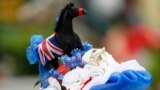 A lady wears a fanciful hat at the Britain Horse Race in Ascot, England.